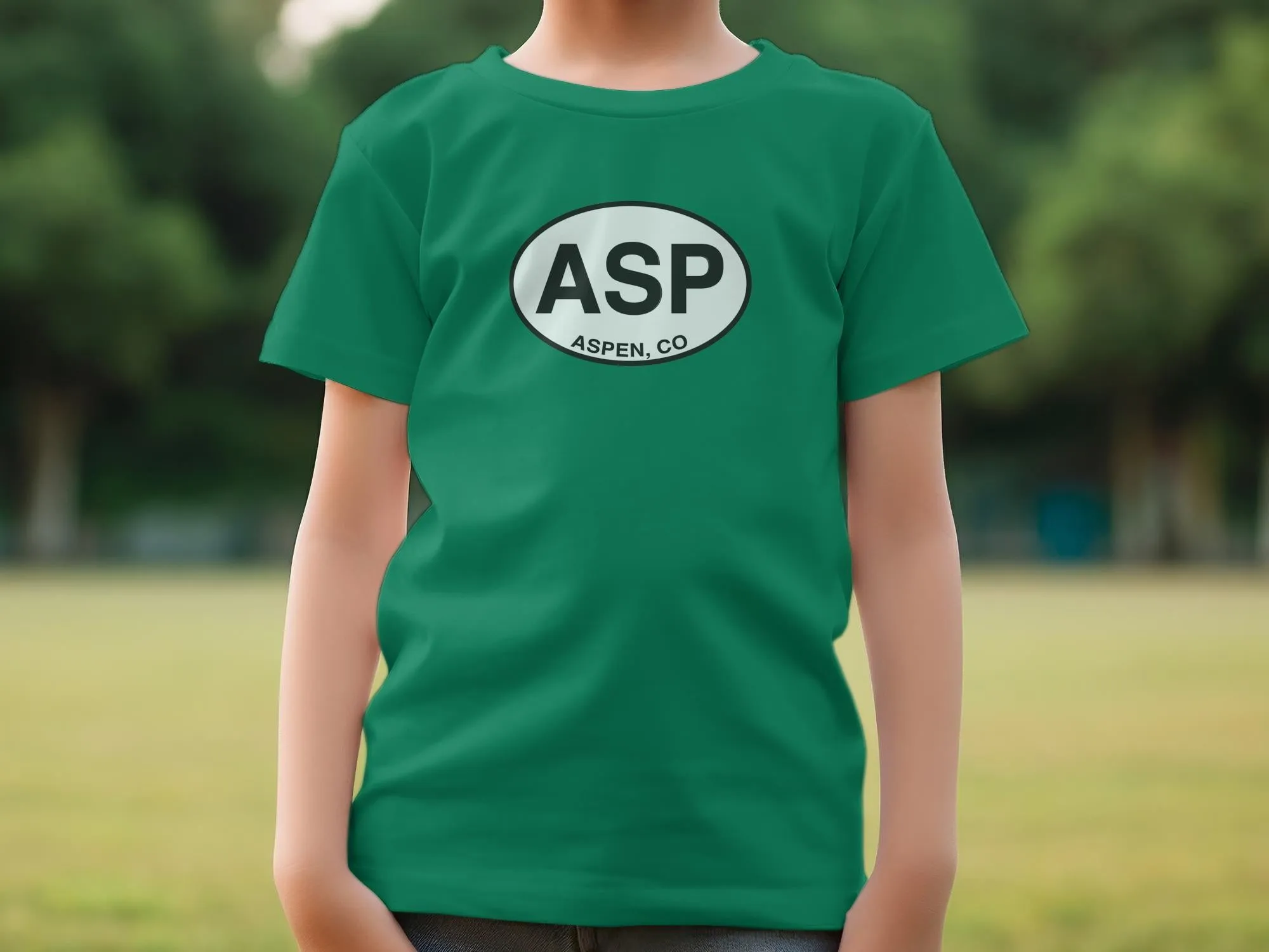 ASP Aspen CO Souvenir T-Shirts