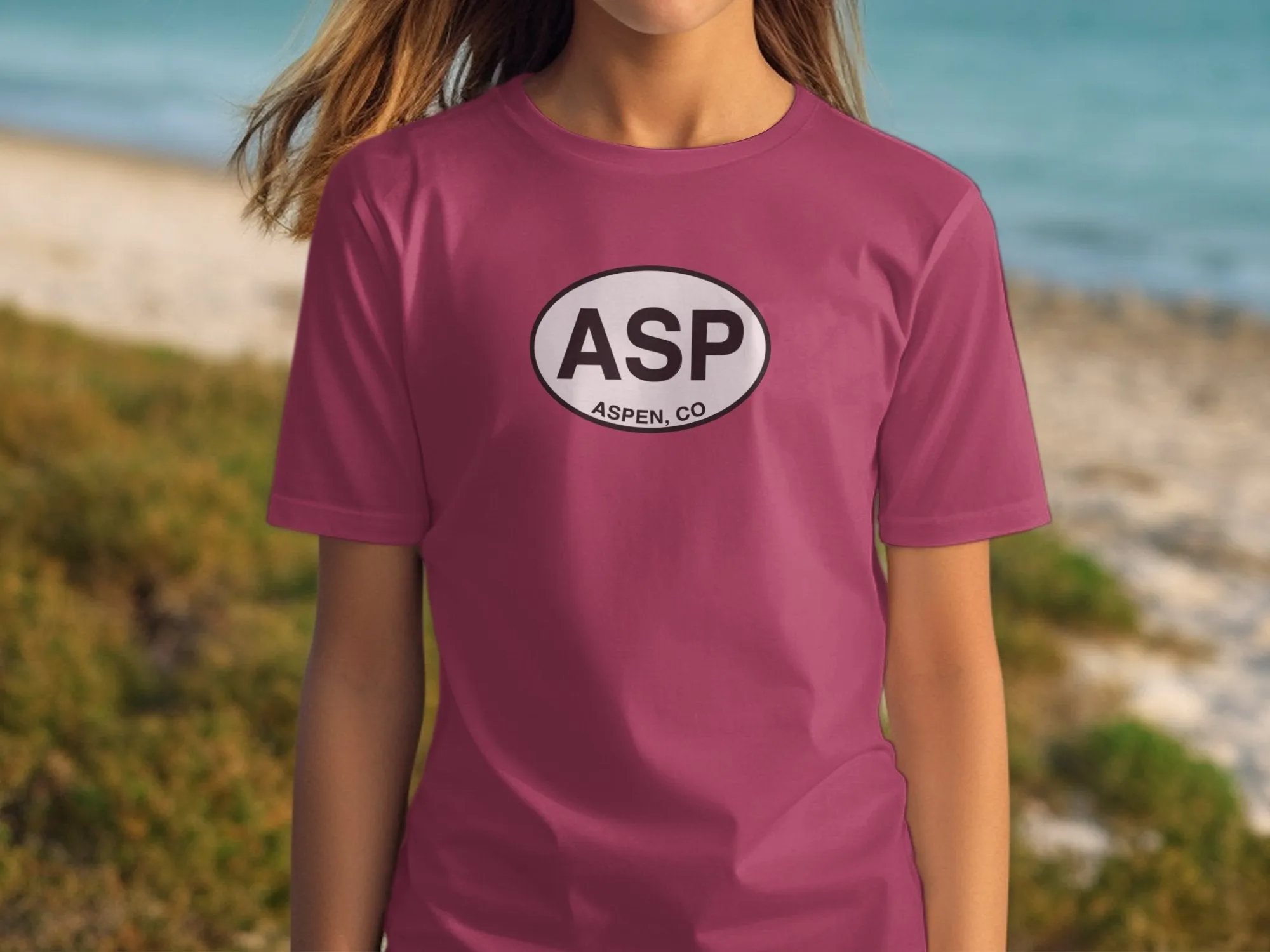 ASP Aspen CO Souvenir T-Shirts