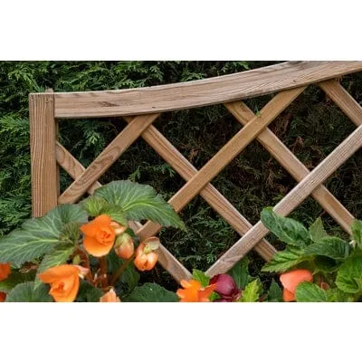 Forest Venice Planter