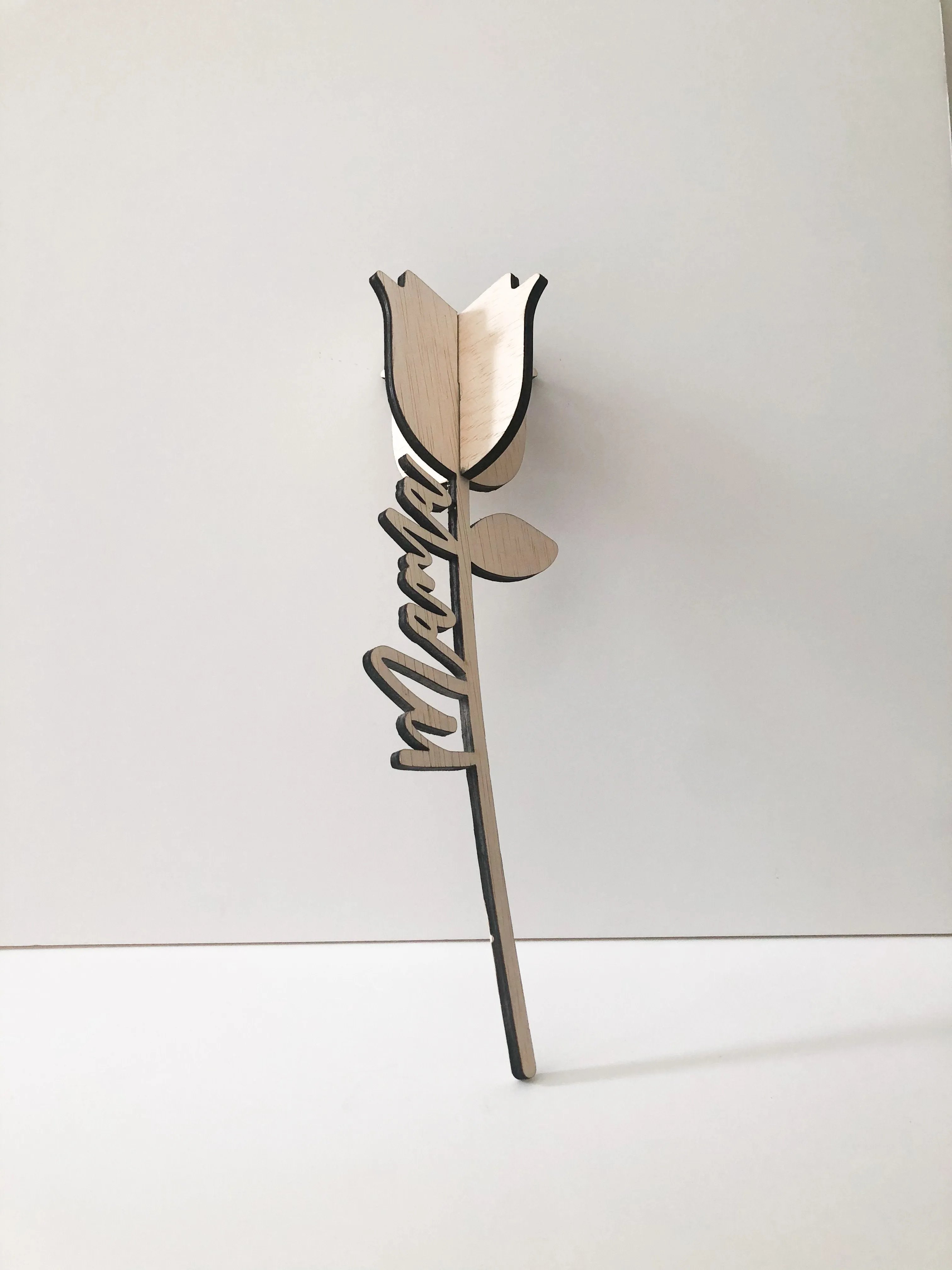 Mother's Day Everlasting 3D Flower