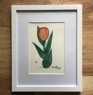 Peach Tulip