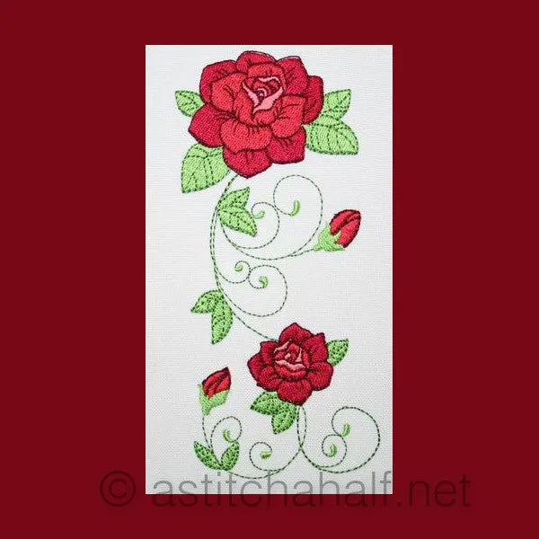 Popular Climbing Roses